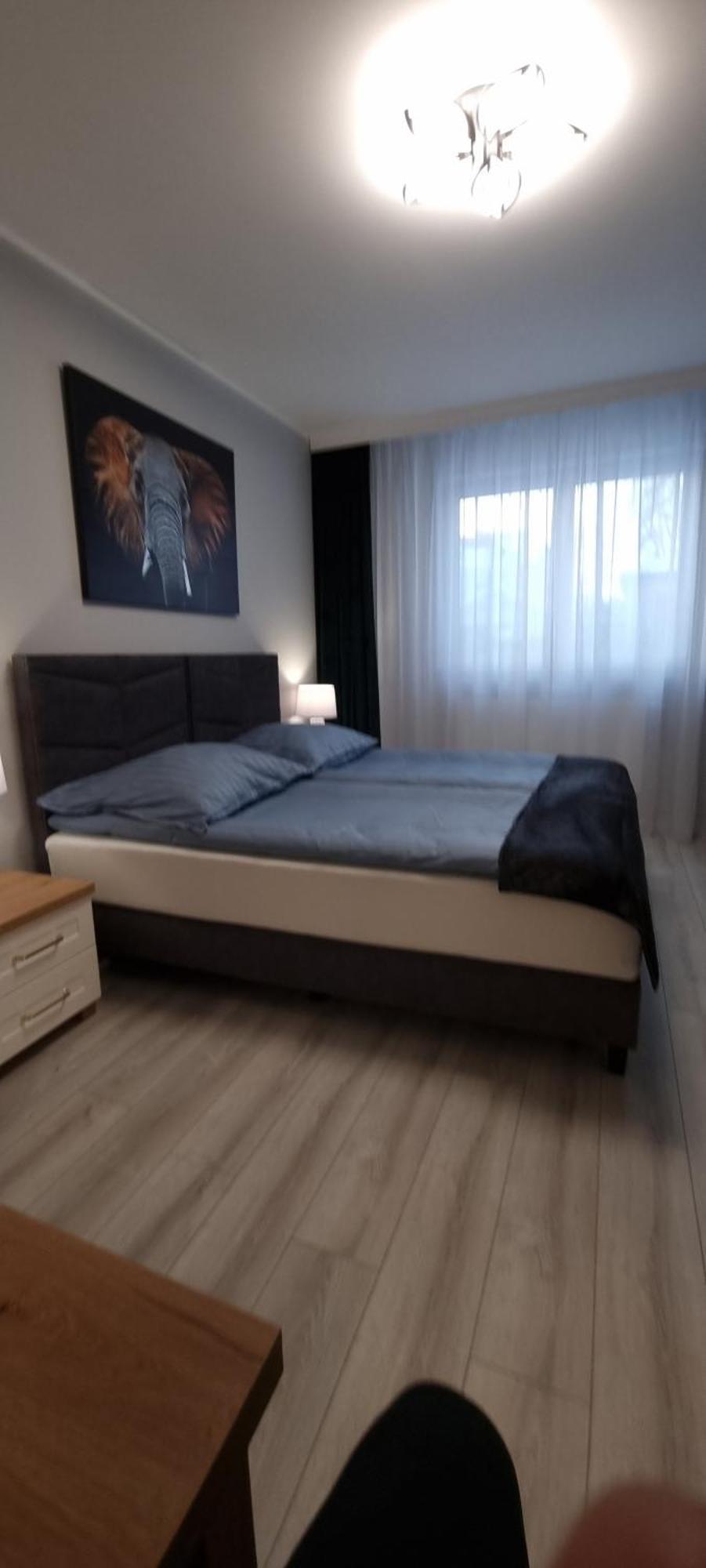 Apartament Solanki Central Apart Inowrocław Zewnętrze zdjęcie