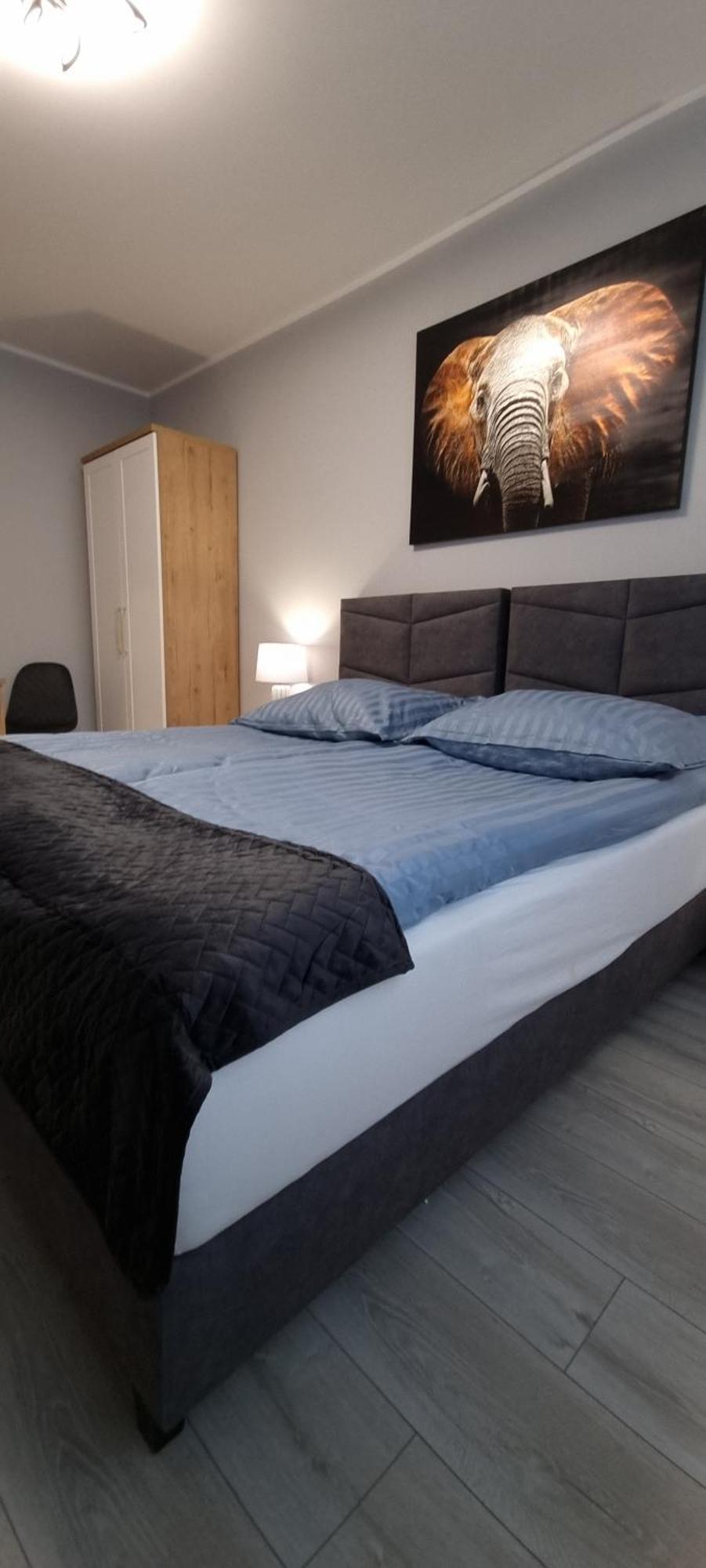 Apartament Solanki Central Apart Inowrocław Zewnętrze zdjęcie